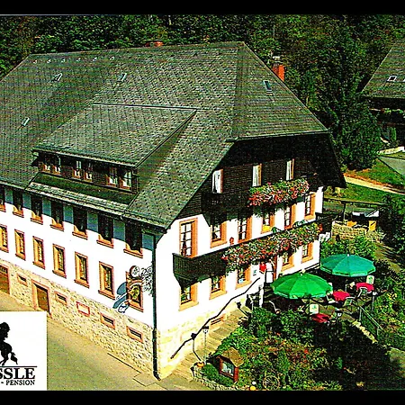 호텔 Gastehaus Zum Goldenen Rossle 2*